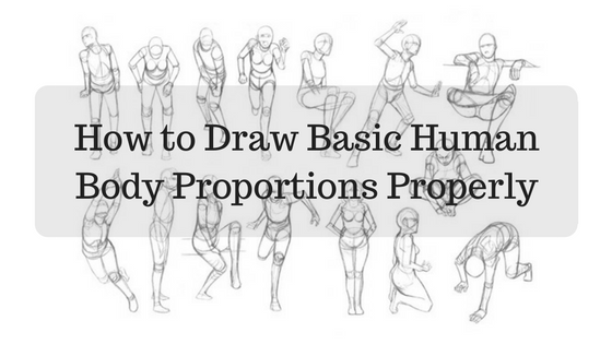 About Human proportions Calculator